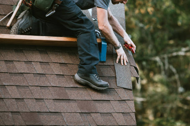 Roof Gutter Cleaning in Milmay, NJ
